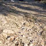 �Stiamo camminando su un tratto della vecchia via Traiana, la strada romana che collegava Benevento a Brindisi aperta tra il 108 e il 109 d.C.�, avverte Patrizia